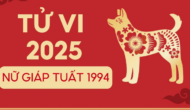 tu vi tuoi giap tuat 1994 nam 2025