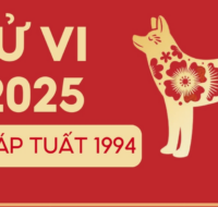 tu vi tuoi giap tuat 1994 nam 2025