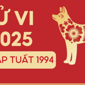 tu vi tuoi giap tuat 1994 nam 2025