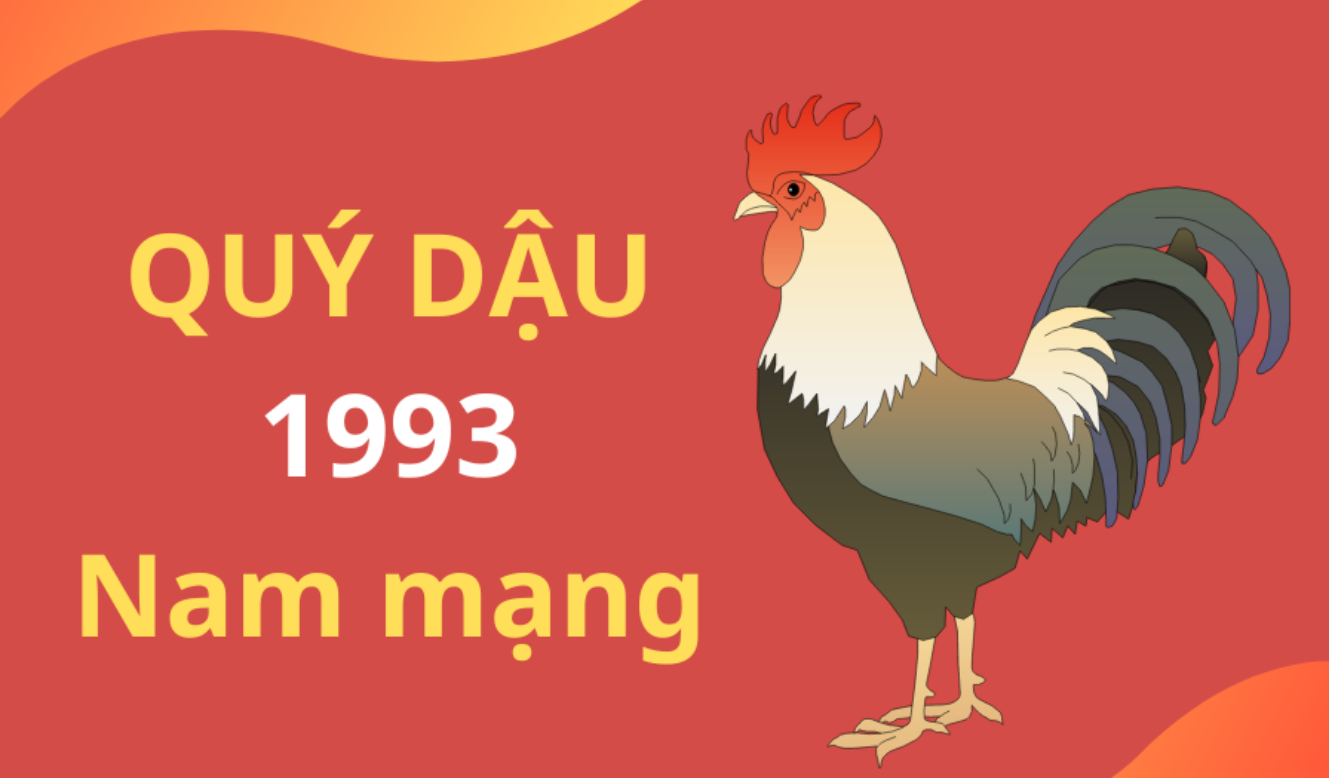 tu vi tuoi quy dau 1993 nam 2025 nam mang