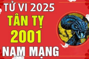 tu vi tuoi tan ty 2001 nam 2025 nam mang
