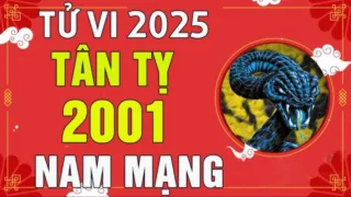 tu vi tuoi tan ty 2001 nam 2025 nam mang