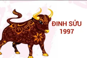 tuoi dinh suu
