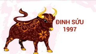 tuoi dinh suu