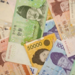 bien dong tien te han quoc