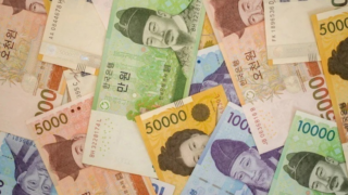 bien dong tien te han quoc