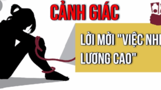 canh bao lua dao viec lam