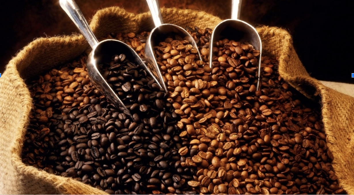 Chênh lệch giá cà phê Arabica và Robusta đạt mức cao nhất kể từ năm 2011 2 gia ca phe 01 05 2025