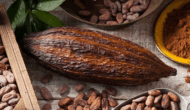 gia cacao tang manh