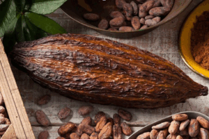 gia cacao tang manh
