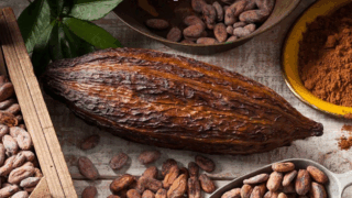 gia cacao tang manh