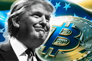 con sot cua bitcoin