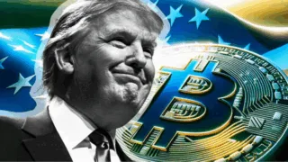 con sot cua bitcoin