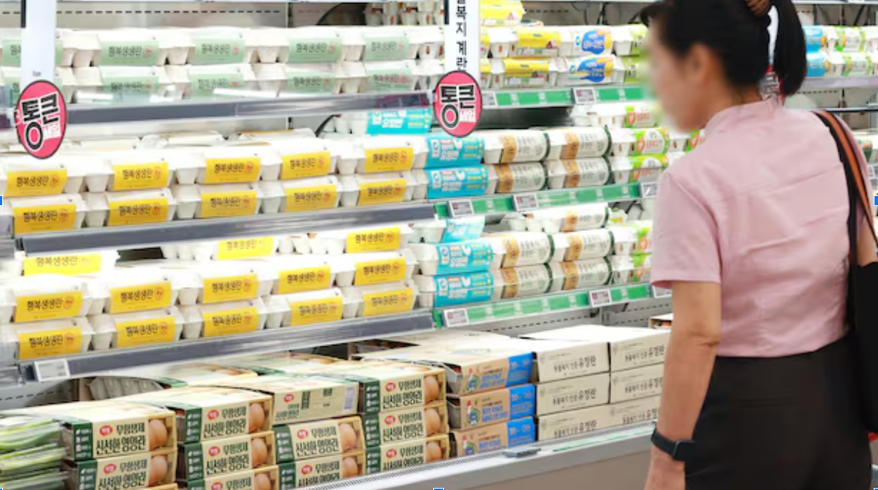 “Lạm phát trứng” gây sức ép lên người tiêu dùng Hàn Quốc 2 gia trung tai han quoc