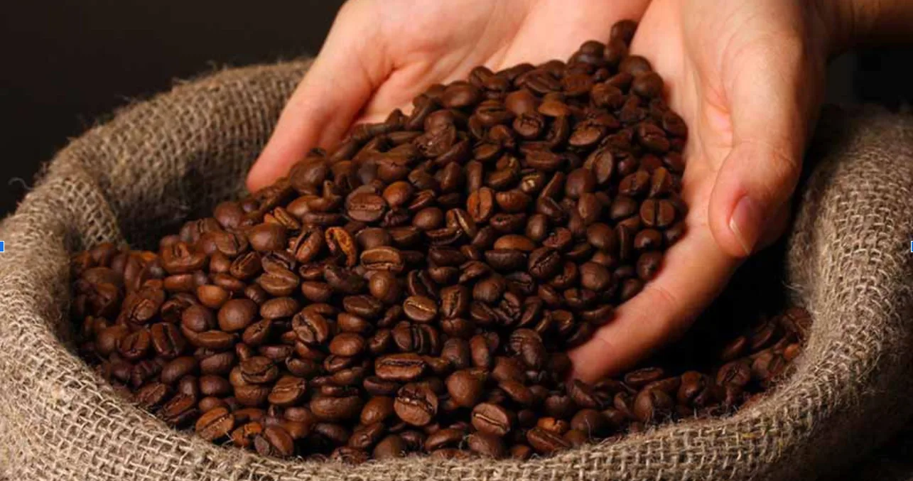 Giá cà phê leo thang trước nguy cơ gián đoạn chuỗi cung ứng 1 gia ca phe tiep tuc tang cao 1