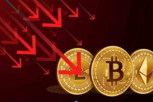 gia btc 19 112025