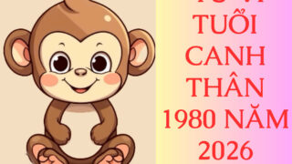 tu vi tuoi canh than 1980 nam 2026