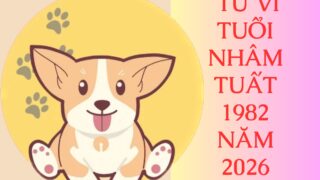 tu vi tuoi nham tuat 1982 nam 2026