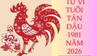 tu vi tuoi tan dau 1981 nam 2026