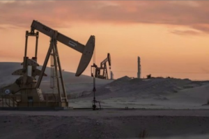 thi truong dau mo roi vao tinh trang du cung