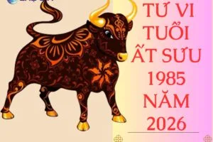 tu vi tuoi at suu 1985 nam 2026