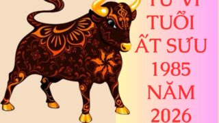 tu vi tuoi at suu 1985 nam 2026