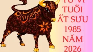 tu vi tuoi at suu 1985 nam 2026