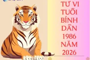 tu vi tuoi binh dan 1986 nam 2026