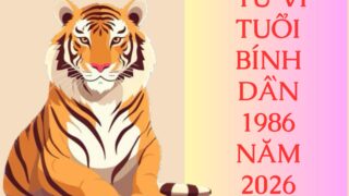 tu vi tuoi binh dan 1986 nam 2026