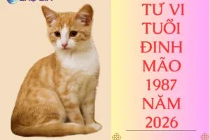tu vi tuoi dinh mao 1987 nam 2026