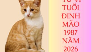 tu vi tuoi dinh mao 1987 nam 2026