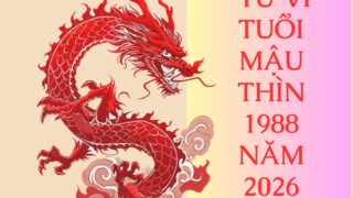 tu vi tuoi mau thin 1988 nam 2026