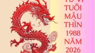 tu vi tuoi mau thin 1988 nam 2026