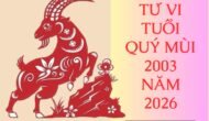 tu vi tuoi quy mui 2003 nam 2026