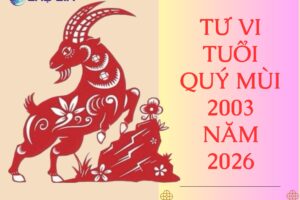 tu vi tuoi quy mui 2003 nam 2026