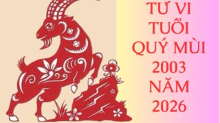 tu vi tuoi quy mui 2003 nam 2026