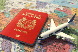 ho chieu singapore
