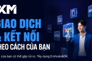700x300 the xm experience